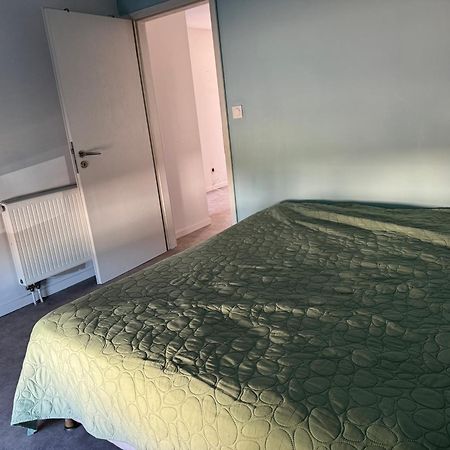 Appartement Vacances Benfeld ภายนอก รูปภาพ